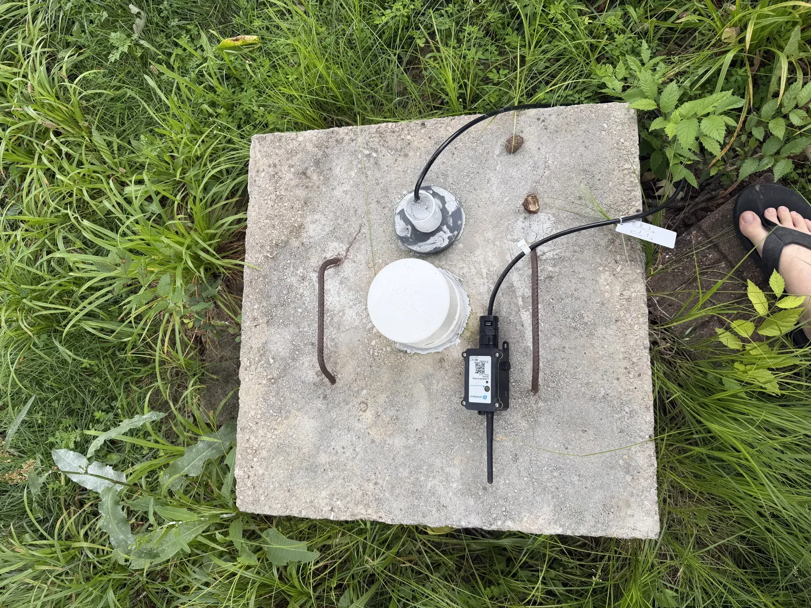 The Dragino node sitting on the cistern's concrete lid at ground level, the 4-20mA probe cable running down into the tank