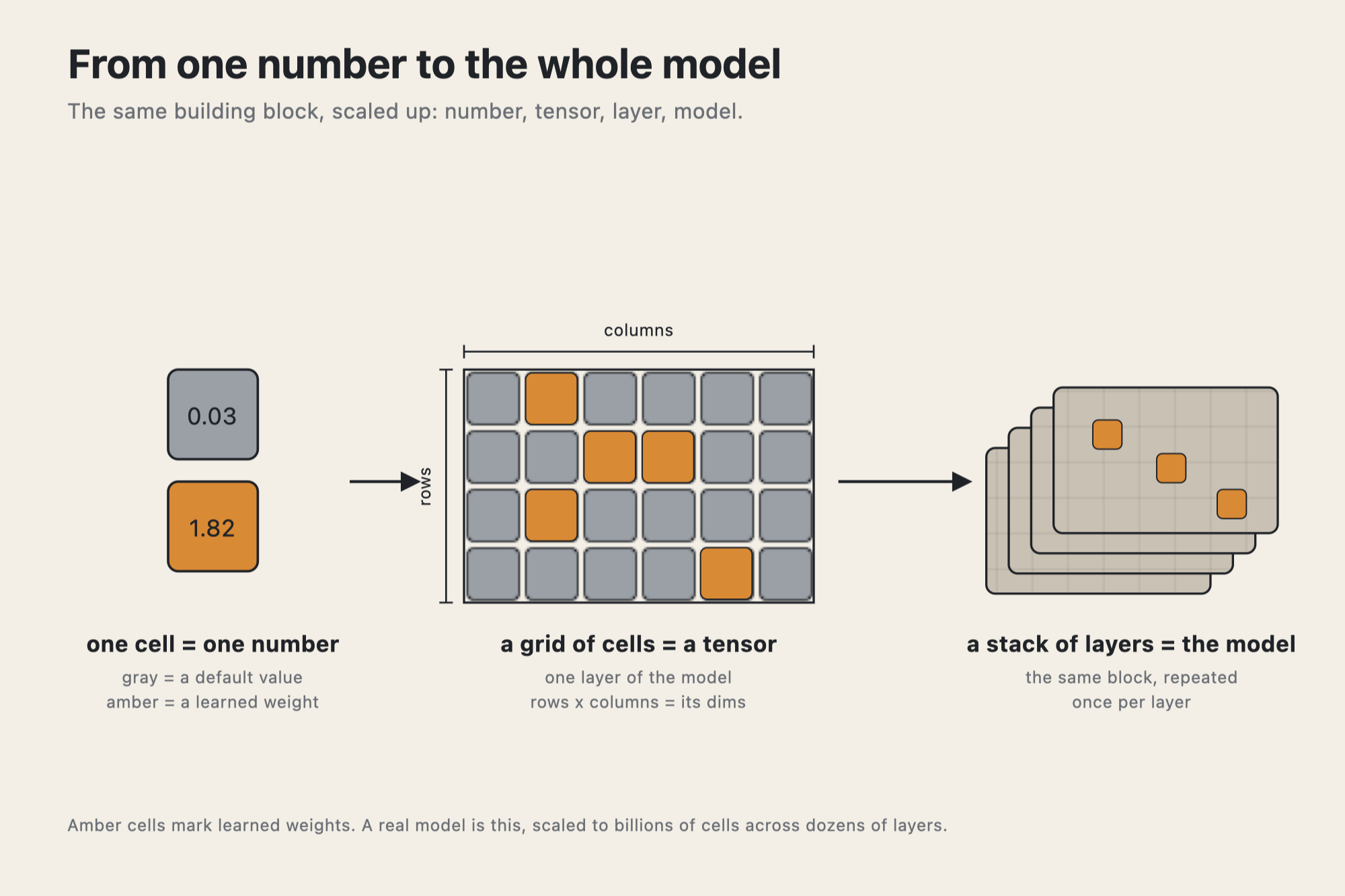 From one number to the whole model: a single number, a tensor of cells, then a stack of layers.