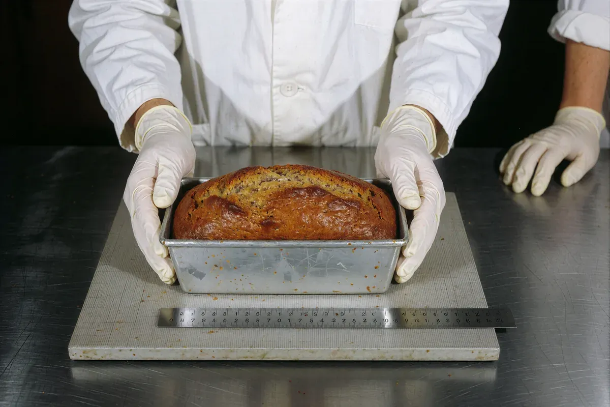 Gloved technician hands present a freshly baked banana bread in a metal loaf pan on a specimen board with a ruler