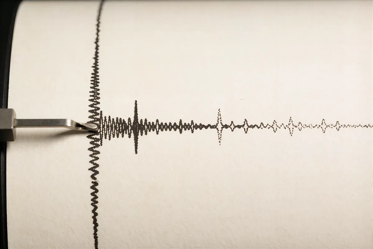 A seismograph trace on cream paper with a spike and faint wobbles